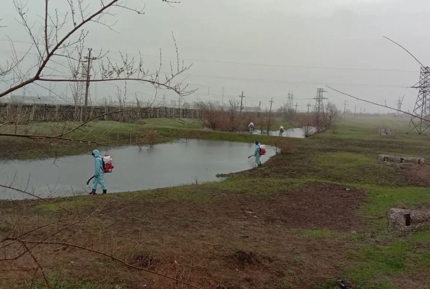 В Павлодаре начата дезинсекционная обработка водоемов от гнуса
